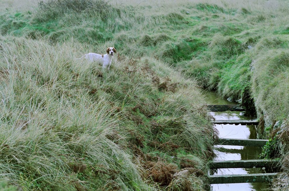 Bretagne 2004